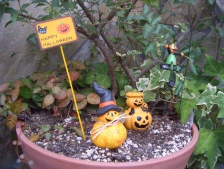 ハロウィン仕様！