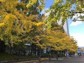 2017 丸産業 住設建材まつりへ行ってきました！
