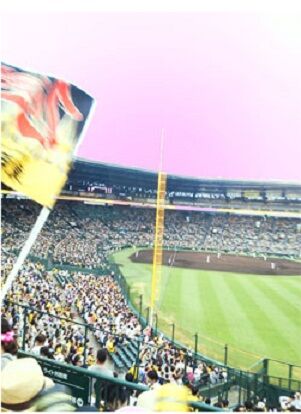 甲子園デビュー